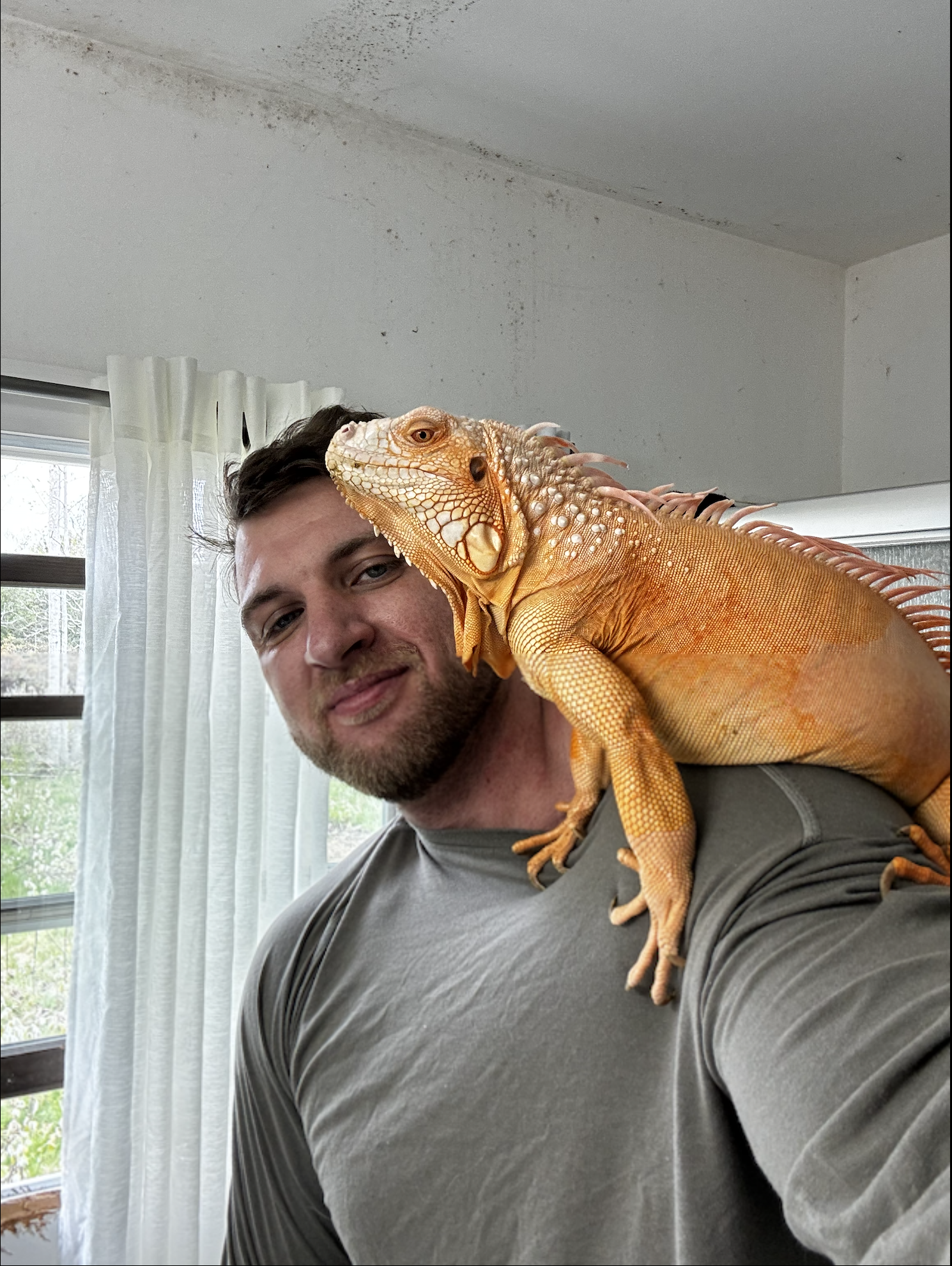photo of owner